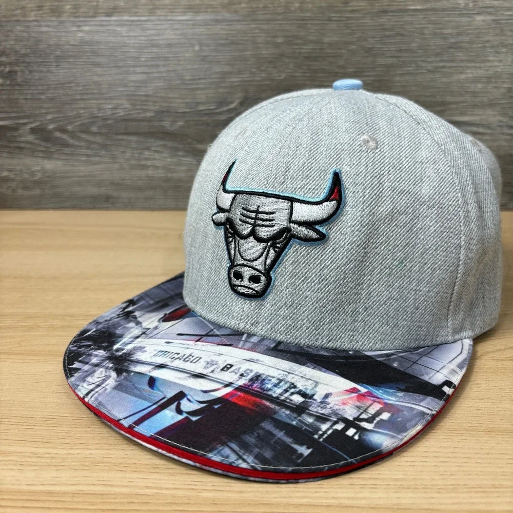 Chicago Bulls Hat Cap Snapback Gray NBA Basketball‎ City Art Promo